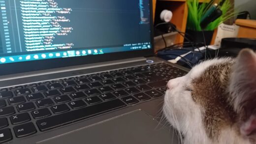 the internet is for cats